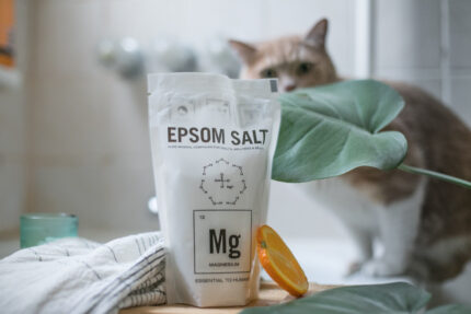 Card - Therapeutic Benefits of Epsom Salt for Animals